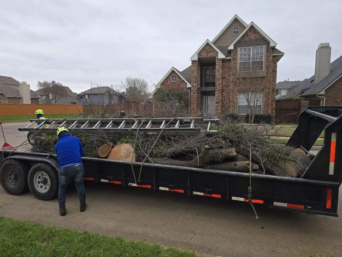 Expert Tree Fertilization with proper safety equipment in Newburg